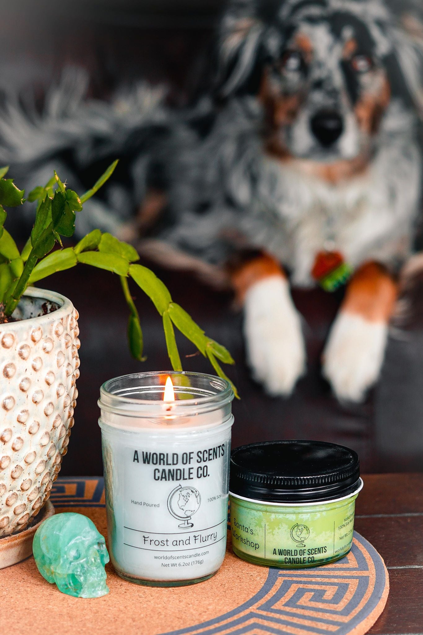 Scents Candle Co.